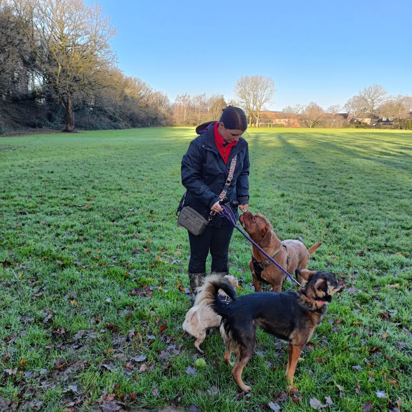 Kate from Pound Hill Pets walking a dog
